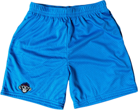 OG Mesh Shorts